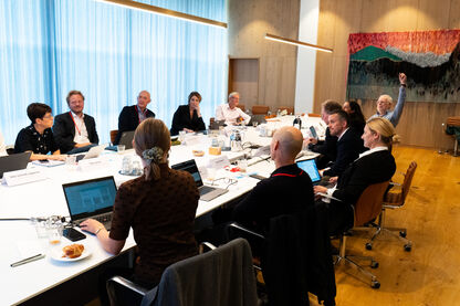 Innovationsfondens fagudvalg