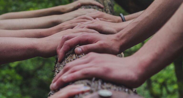 hænder grønne missioner