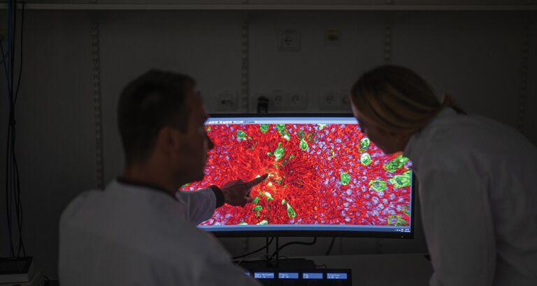 Forskere kigger på skærm - Grand Solutionsprojektet StemScreen