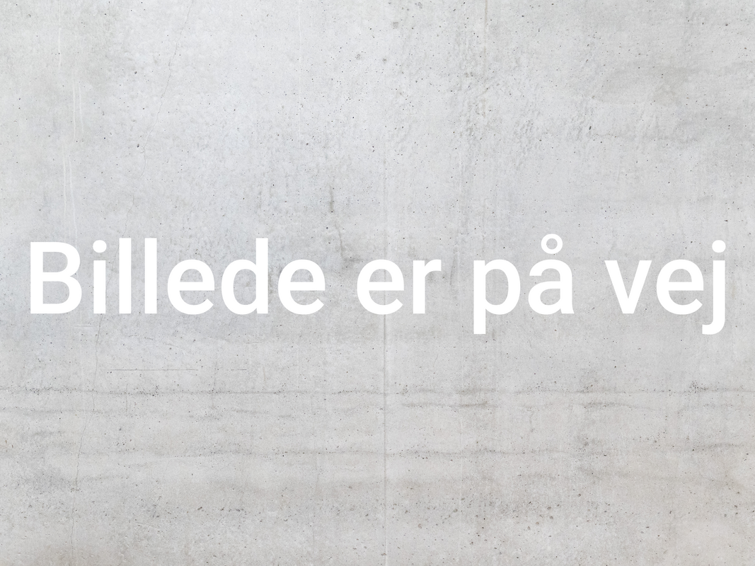 Bodil Therese Lundstrøm Bang